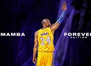  决胜巅峰正版游戏官网 