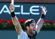 复仇之战！费德勒率领阿根廷队成功逆转获胜的简单介绍